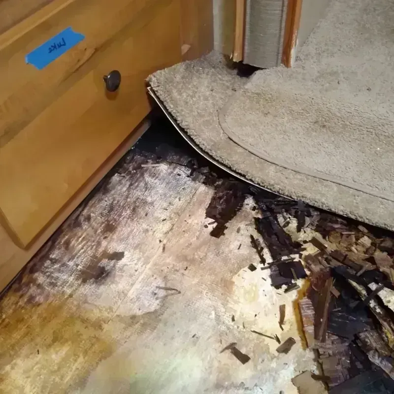 Wood Floor Water Damage in Kingsford, MI